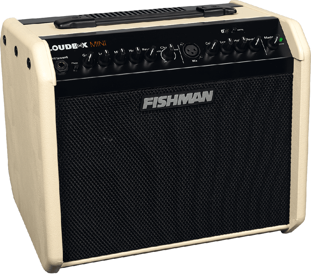 Fishman Loudbox Mini
