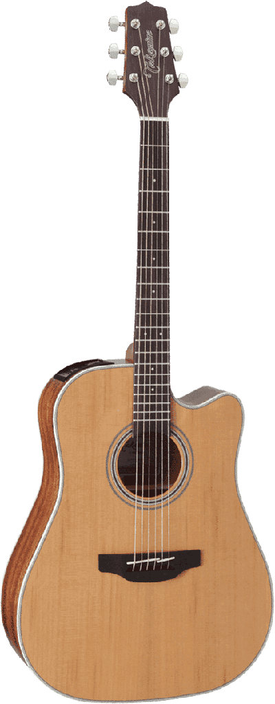 Takamine GD20CENS