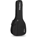 Alhambra R-70 Gig Bag For Lute - 9534