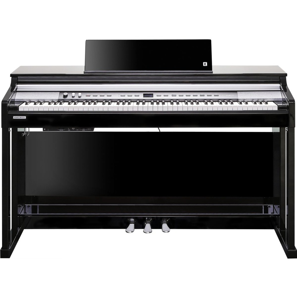 Kurzweil Cup P1-BP