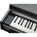 Kurzweil Cup M1-SR