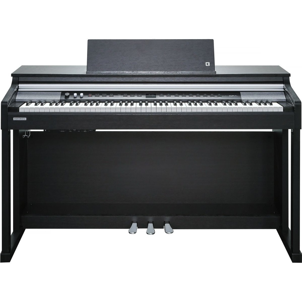 Kurzweil Cup P1-BK