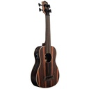 Kala Striped Ebony Fretted Acoustic-Electric U-BASS