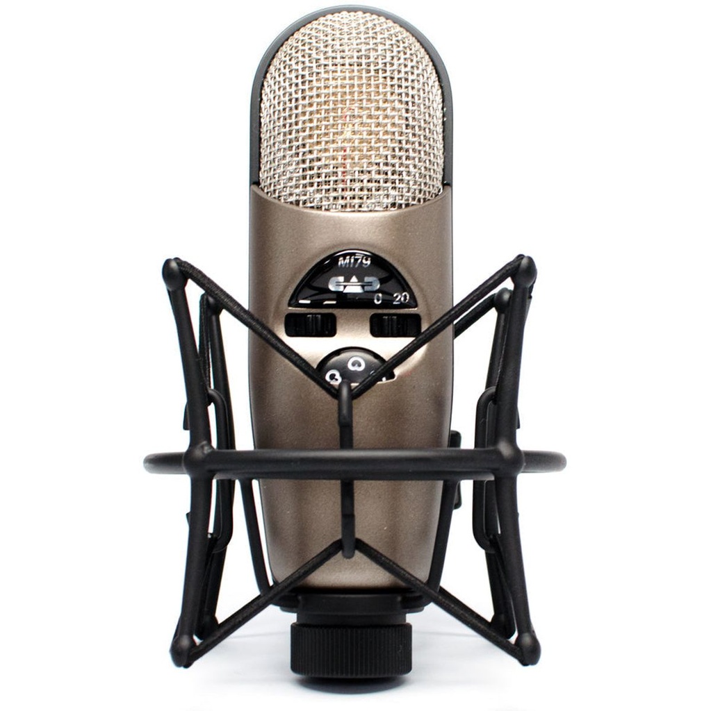 CAD Equitek L Diaphragm Adjustable Polar Pattern Condenser Mic