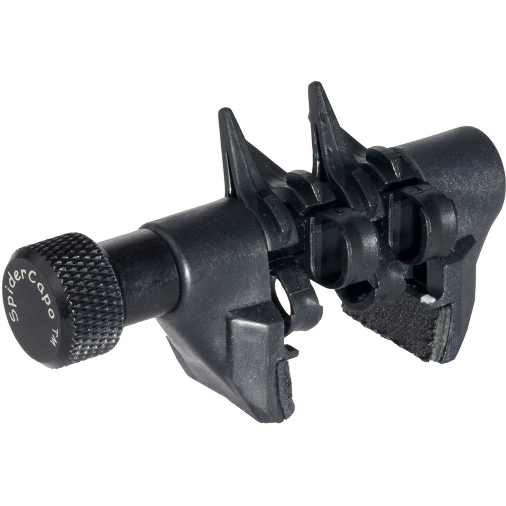 D'Andrea Spider Capo - Mini