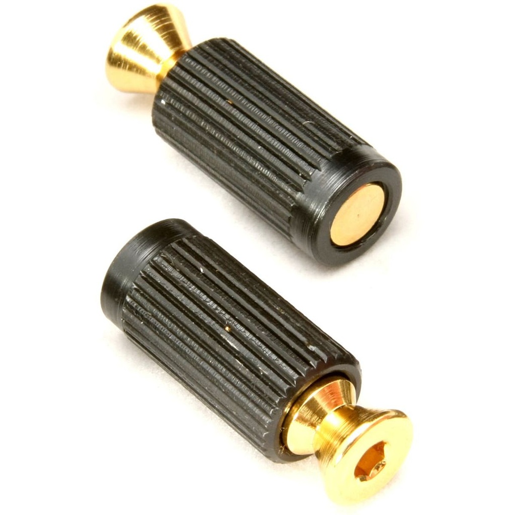 Floyd Rose Bridge Mounting Studs &amp;amp; Inserts - Gold (PKG)