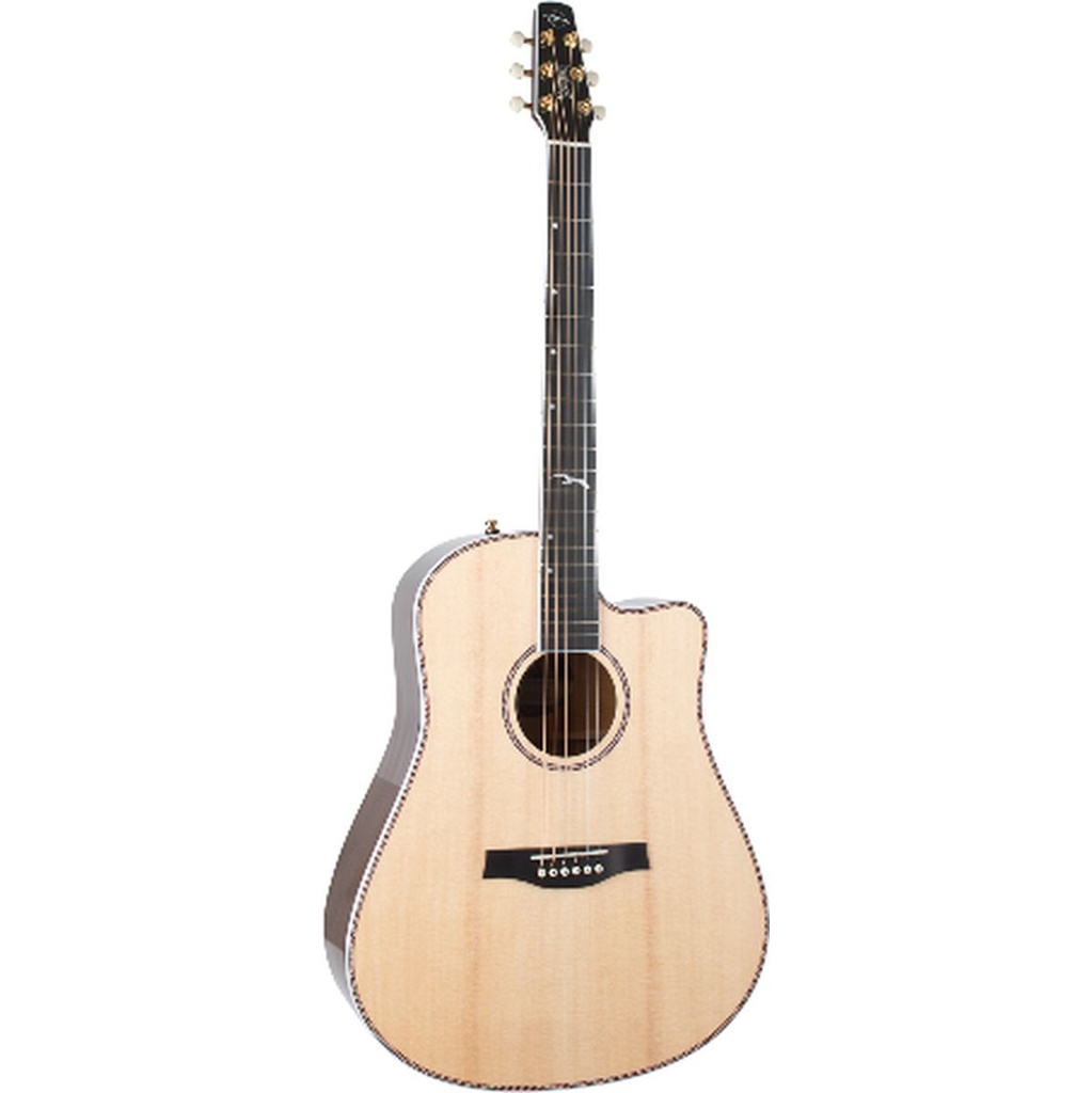 Godin Artist Mosaic CW HG EQ