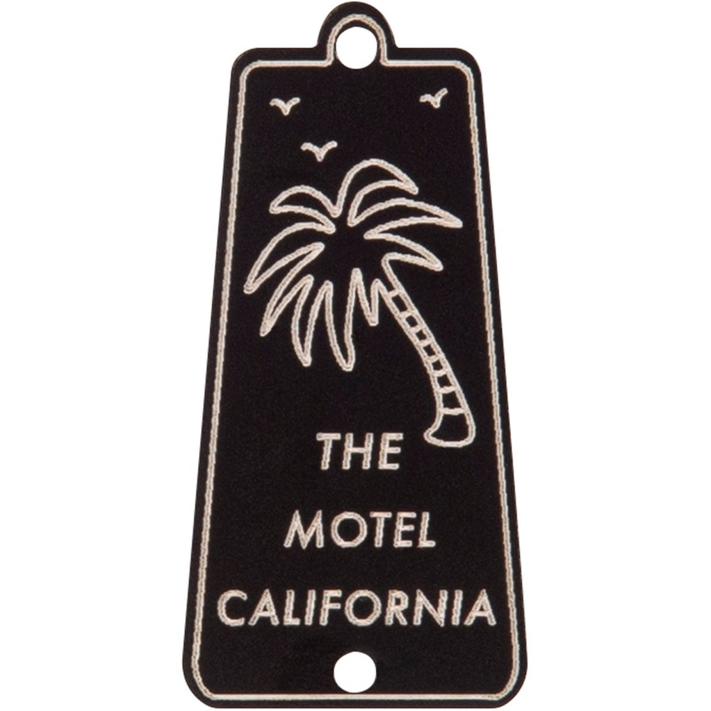 Joe Doe Truss Rod Cover In Aged Black - Motel California