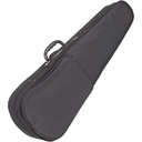 Kinsman Antoni Debut Violin CASE-34