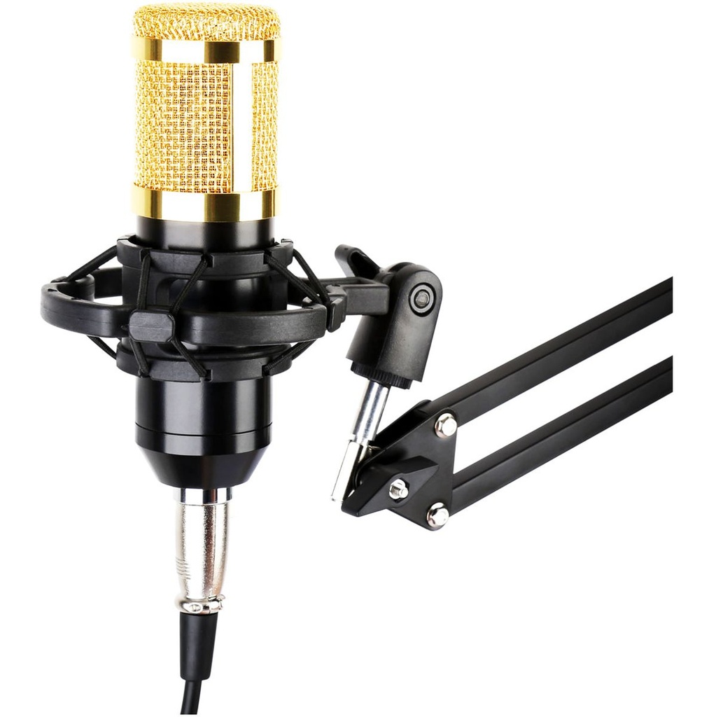Kinsman Super Cartoid Microphone Outfit