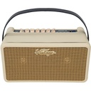 Kinsman Vintage Retro 25 Amplifier w/ DSP - Vintage White