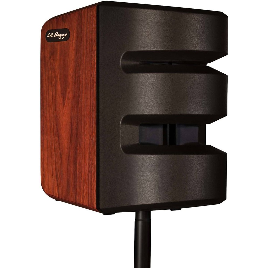 LR Baggs Synapse