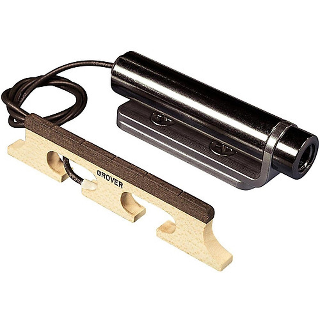 LR Baggs Banjo