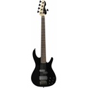 Markbass MB f/1.0 Navigator Black 5 BK RW