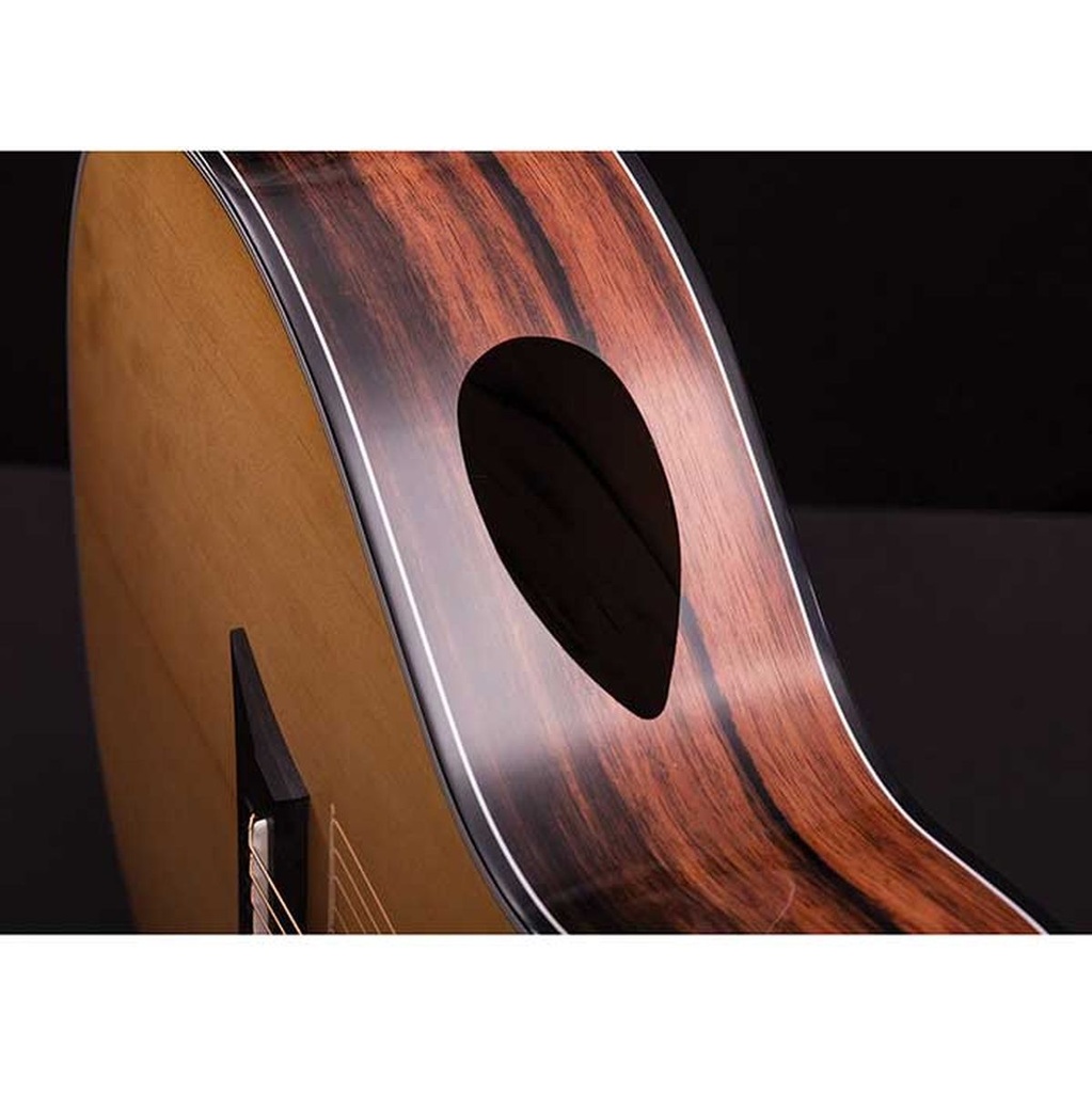 Michael Kelly 3D Grand Auditorium