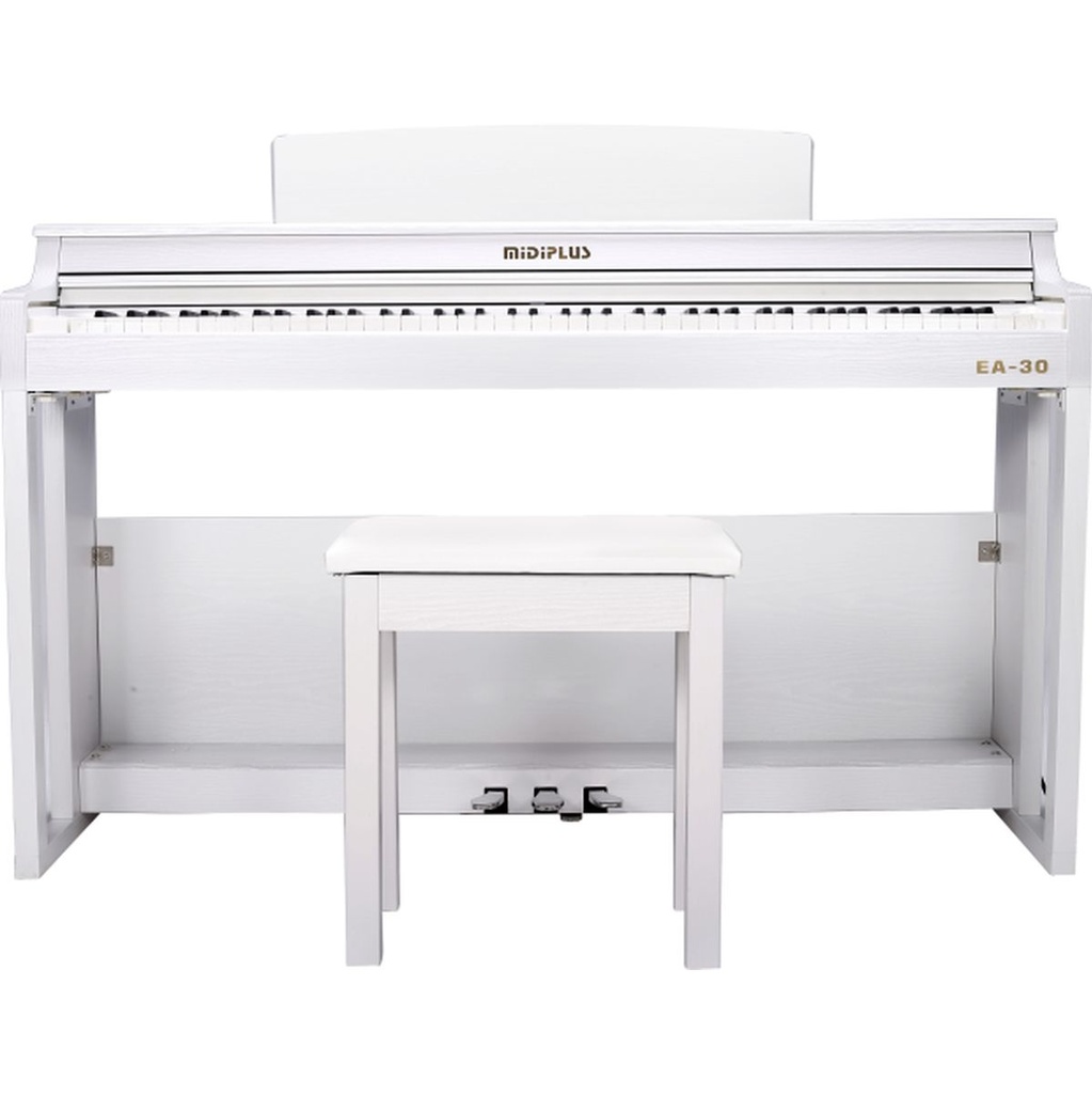 MIDIPLUS EA-30