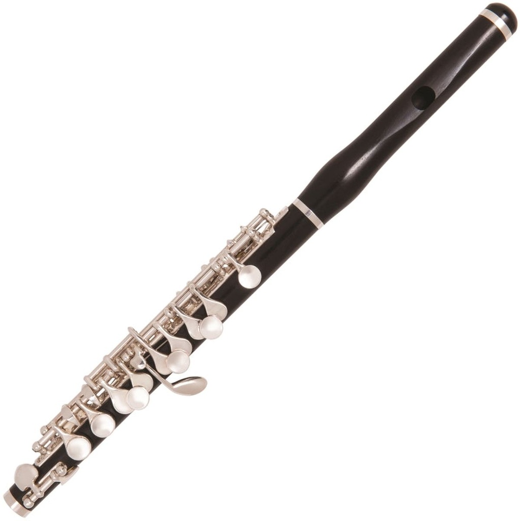 Odyssey Symphonique Wood Body Piccolo Wcase