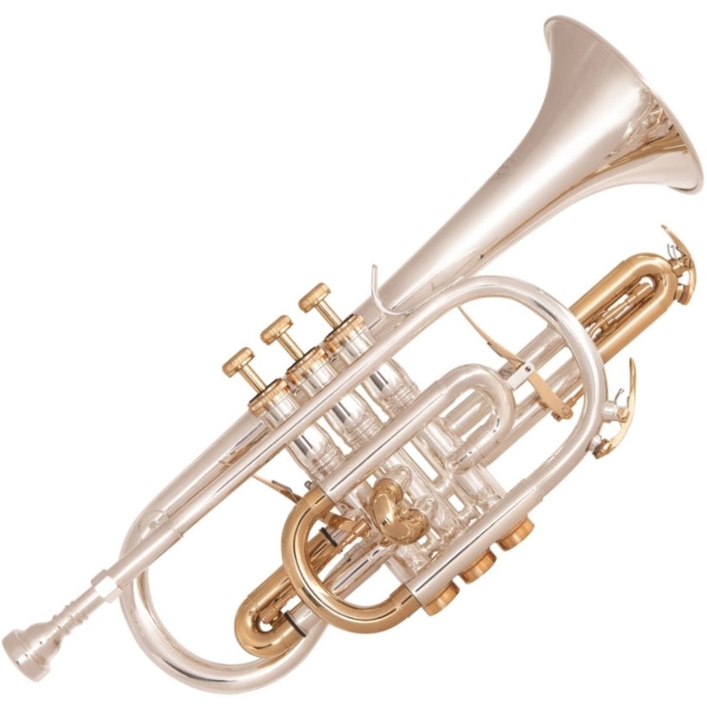 Odyssey Symphonique BB Cornet W Case - DW MP