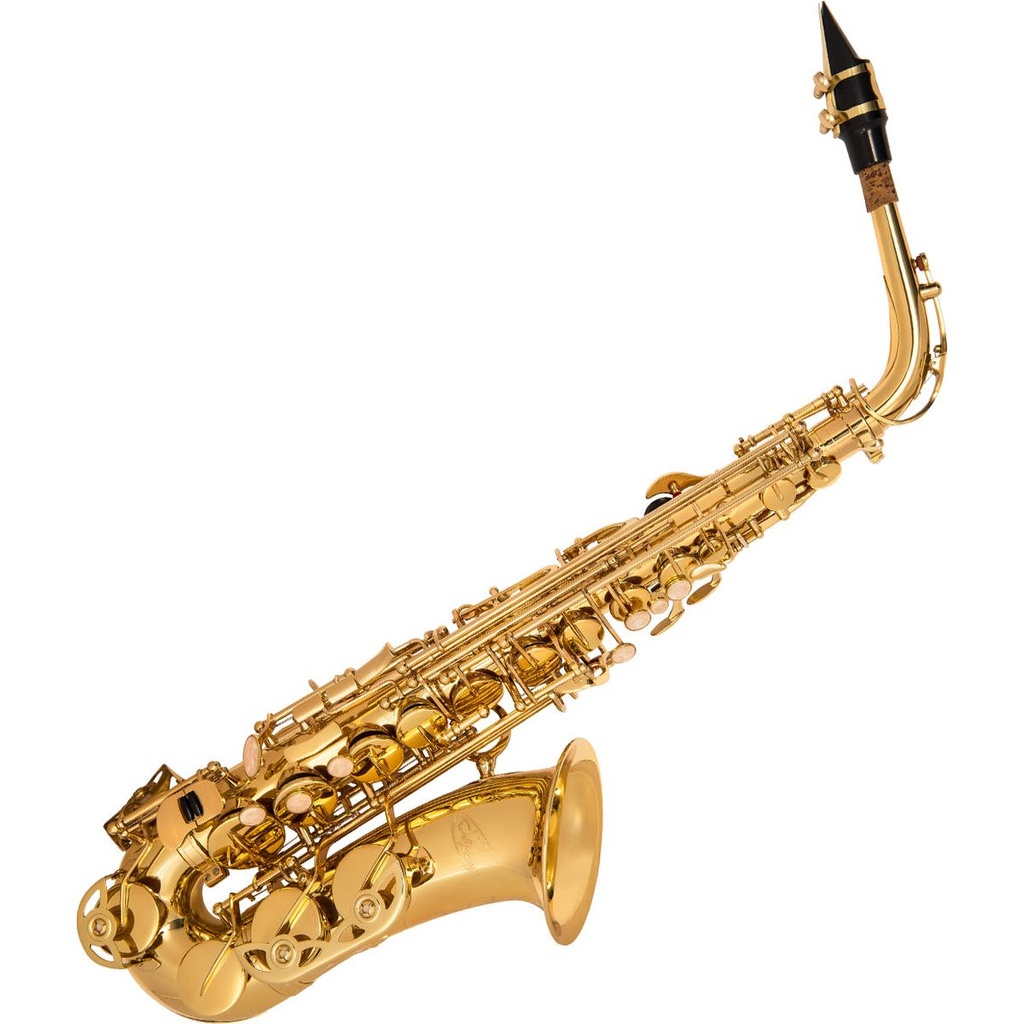 Odyssey Debut Alto Sax Outfit Wcase