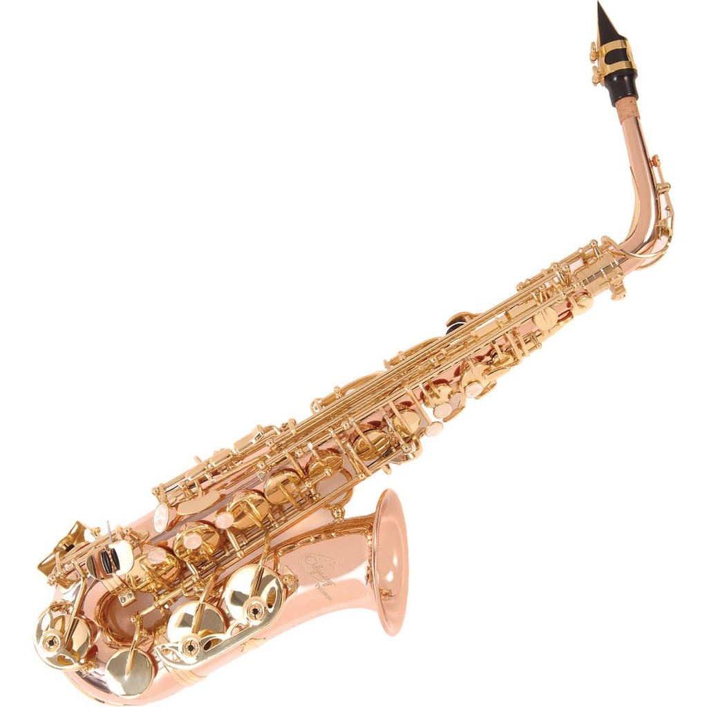 Odyssey Premiere Alto Saxophone Wcase