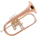 Odyssey Premiere Flugel Horn Wcase - DW MP