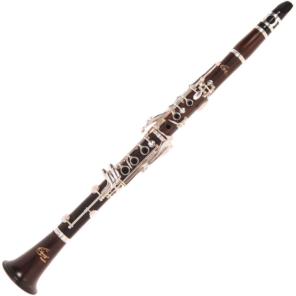Odyssey Premiere Ebony Body Clarinet Wcase