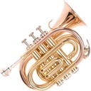Odyssey Premiere BB Pocket Trumpet Wcase