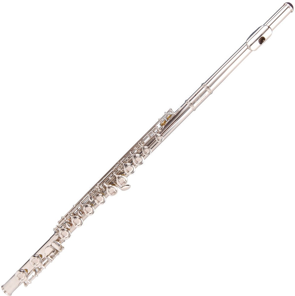 Odyssey Debut Flute Outfit Wcase