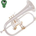 Odyssey Premiere Flugel Horn Silver Plated Wcase - DW MP