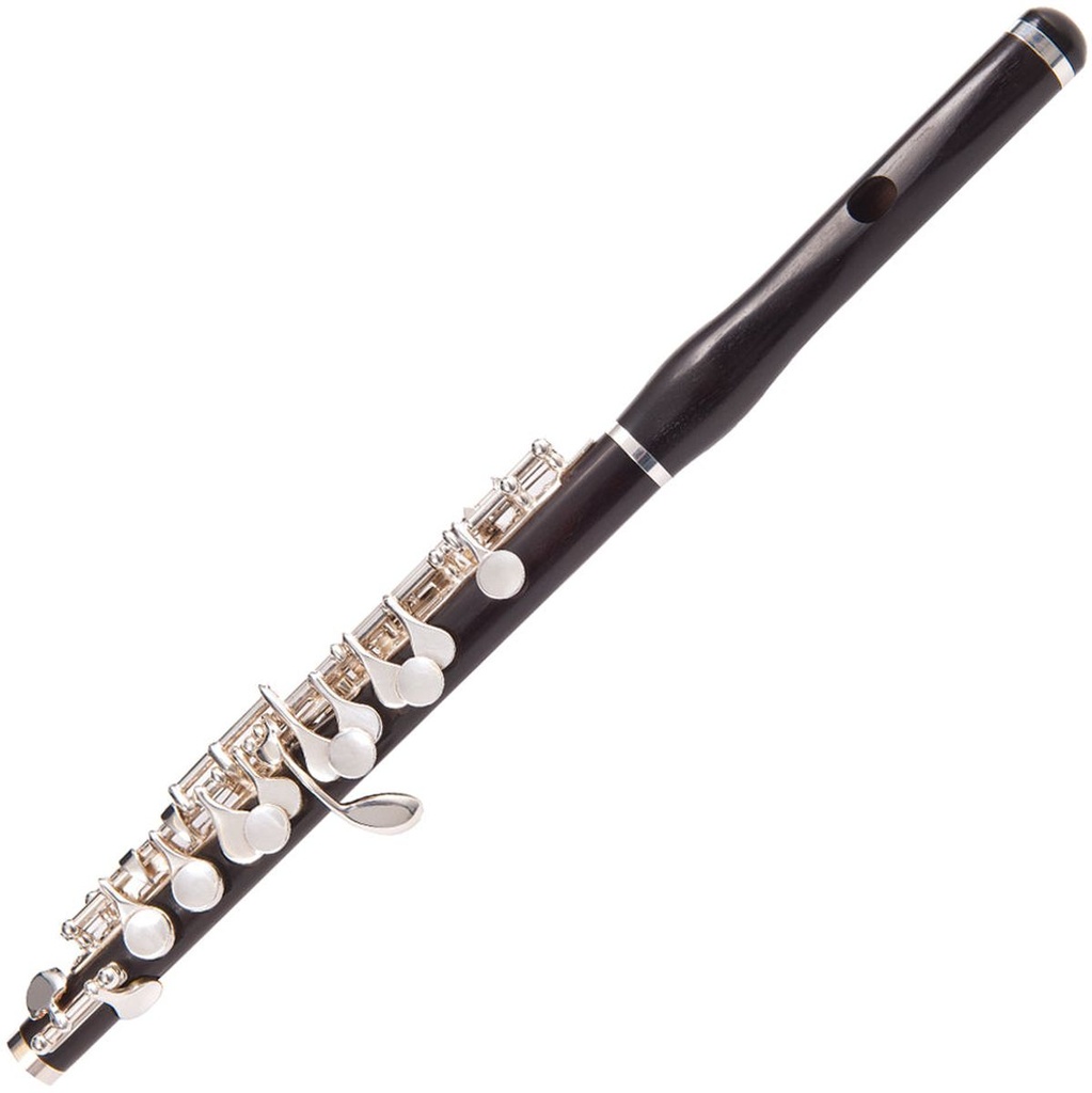 Odyssey Premiere C Piccolo Wcase