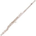 Odyssey Premiere C Flute Wcase
