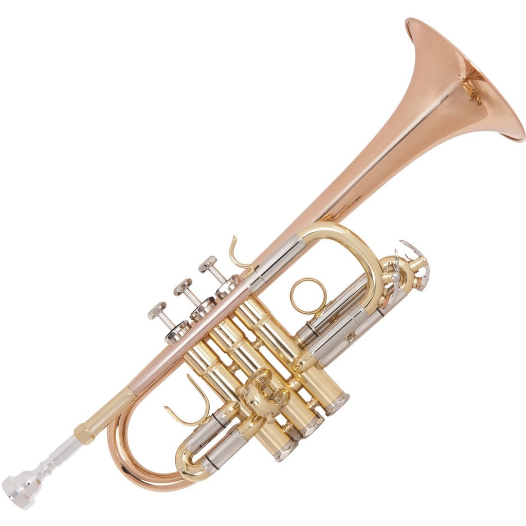 Odyssey Premiere DEb Trumpet Wcase