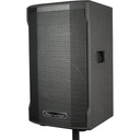 Powerwerks 600W 10 inch Powered Speaker