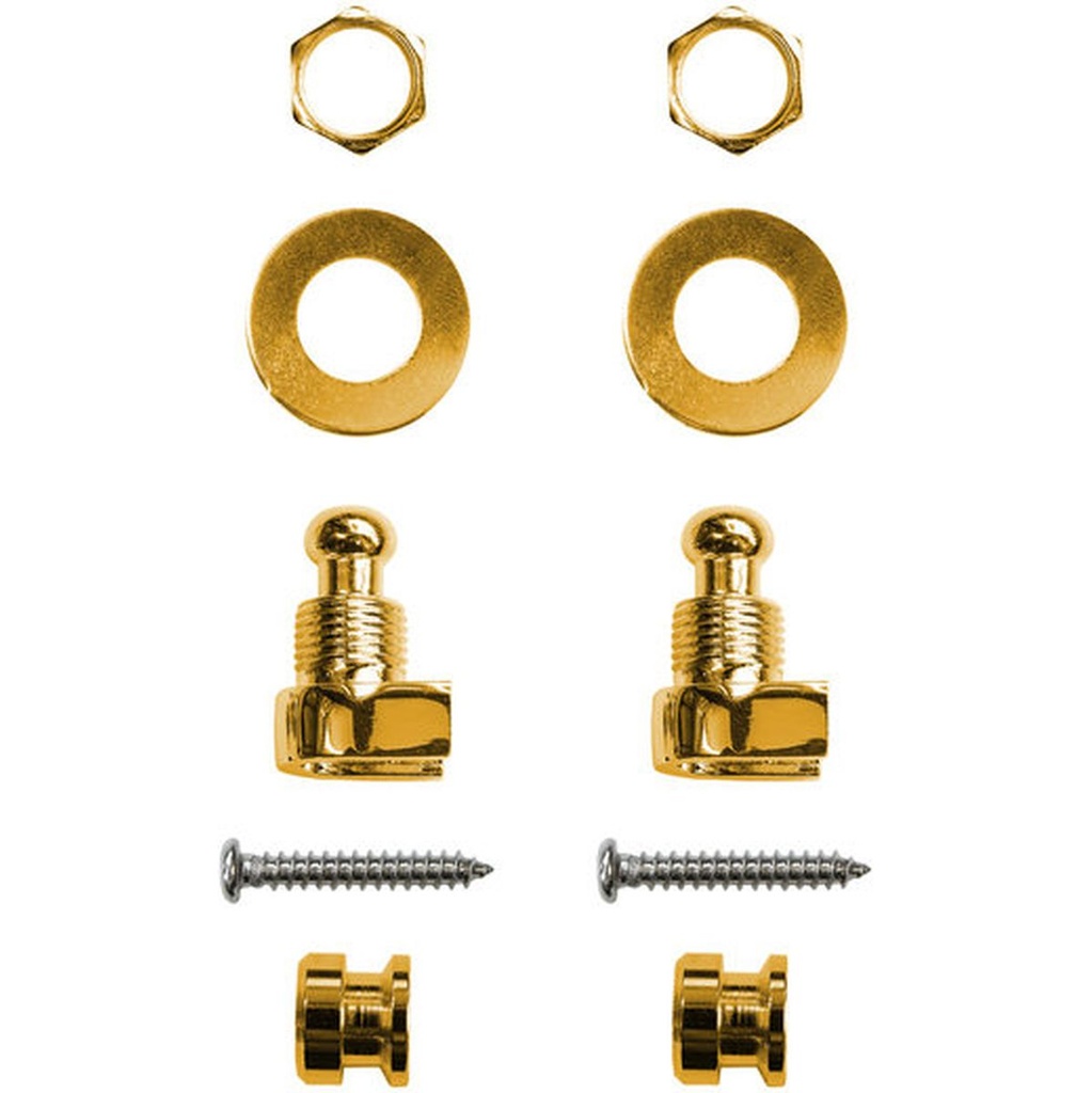 Richter Strap Lock Set Gold