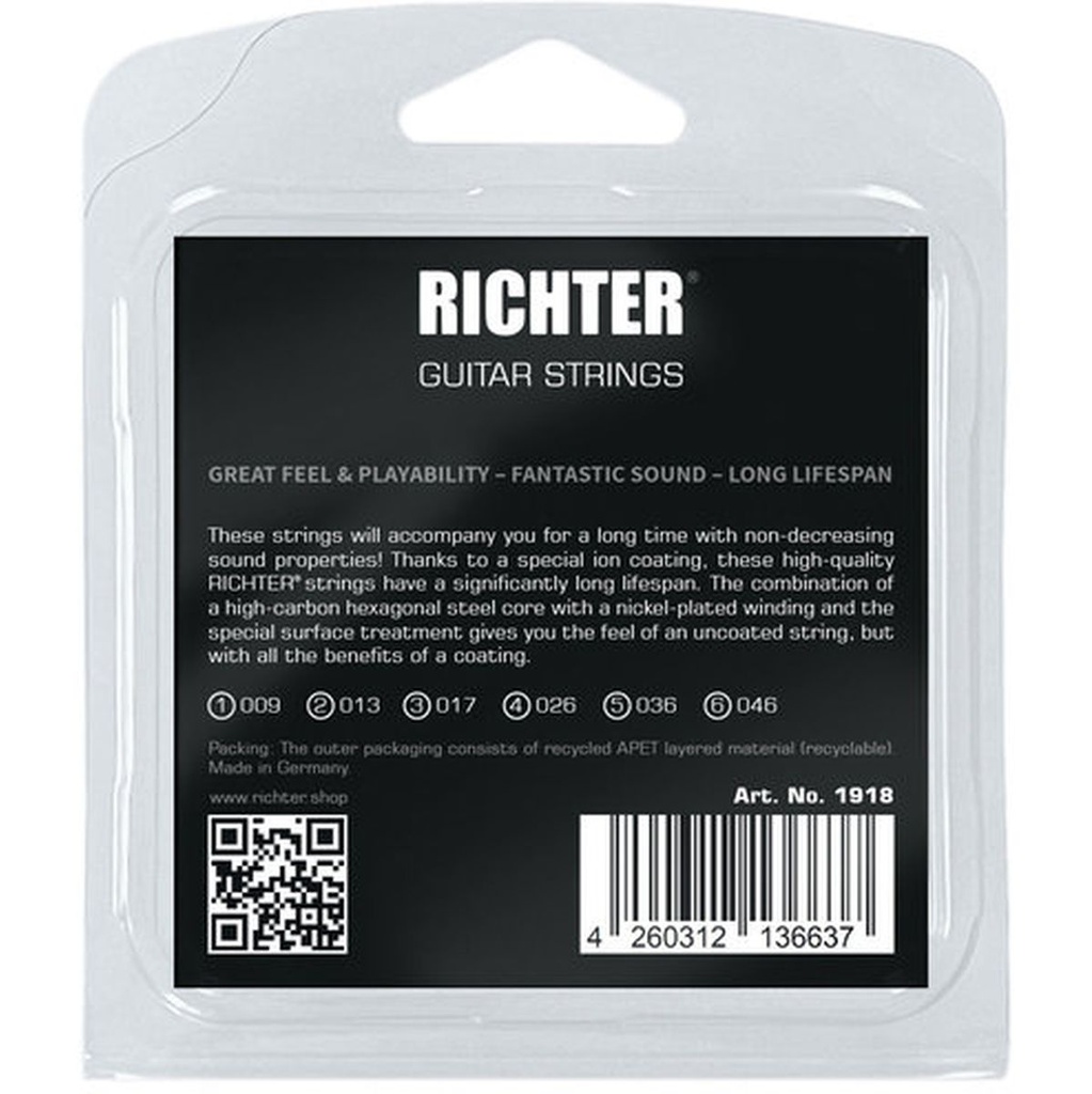 Richter Electric Guitar Strings 6 String Light Gauge 009 - 046