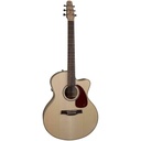 Seagull Performer CW Mini Jumbo HG Presys II w/ Bag