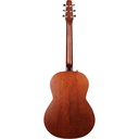 Seagull Entourage Folk Rustic Burst