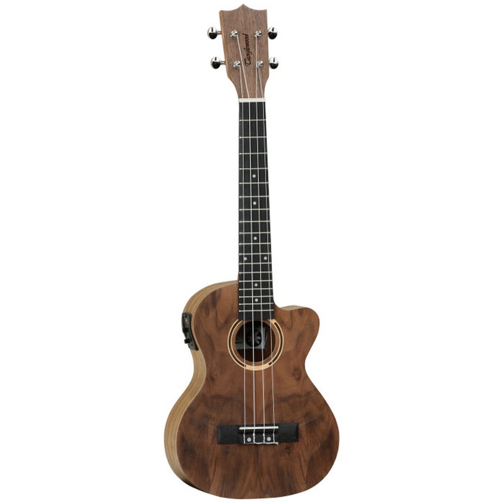 Tanglewood Tiare T22