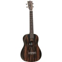 Tanglewood Tiare T20