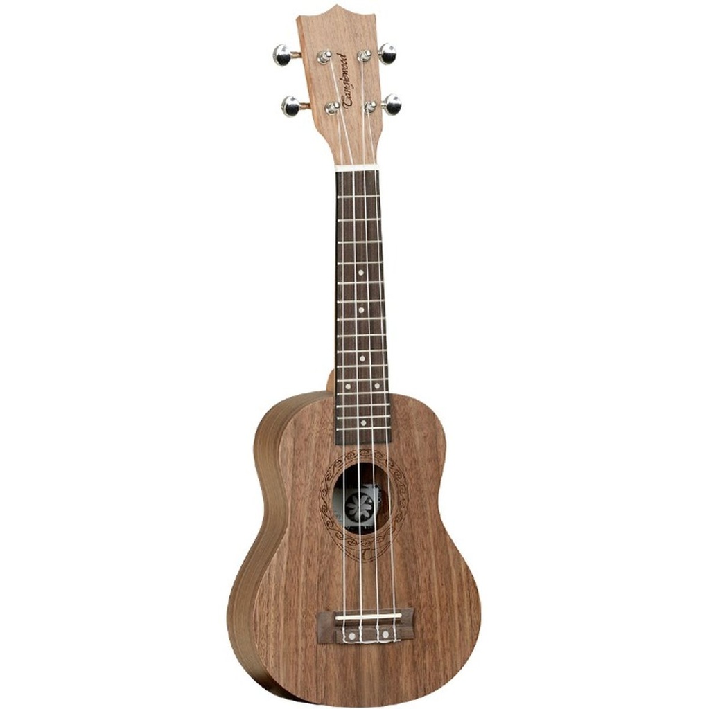 Tanglewood Tiare T2