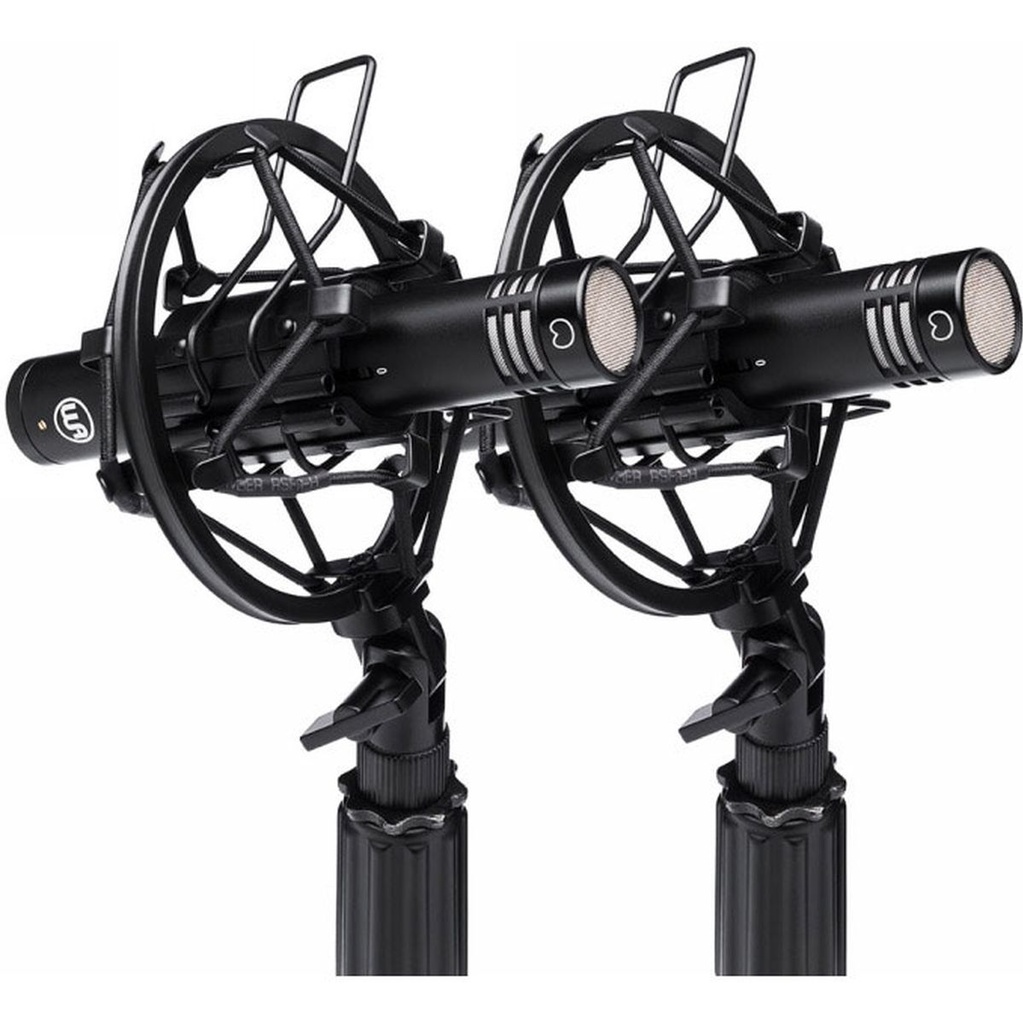 Warm Audio WA-84-C-B-ST