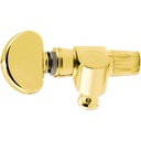 Grover Set Of 5 Banjo Pegs Gold