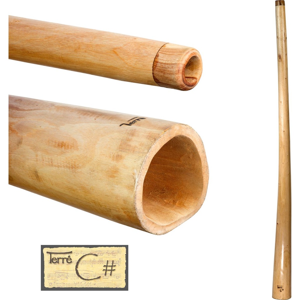 Terre Didge L-Pro Mahogany C#