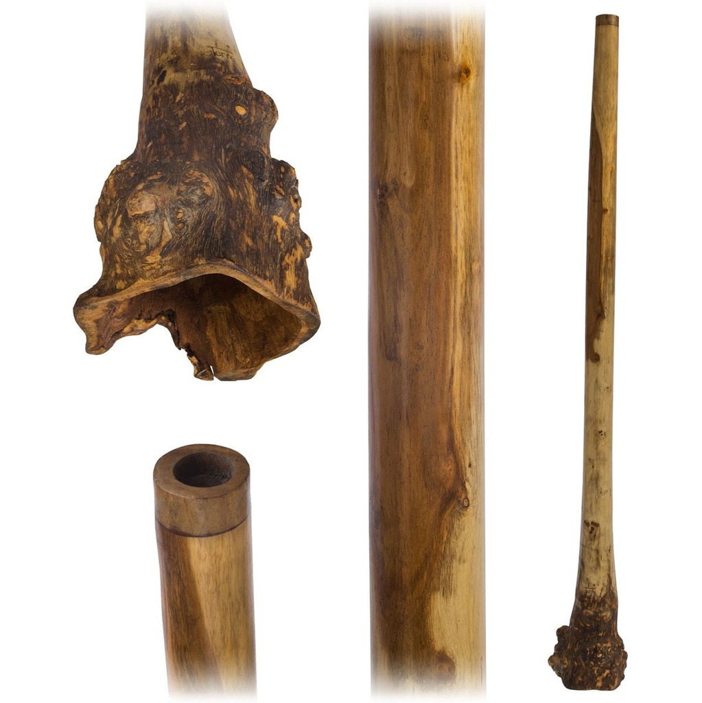 Terre Didge Eucalyptus Roots