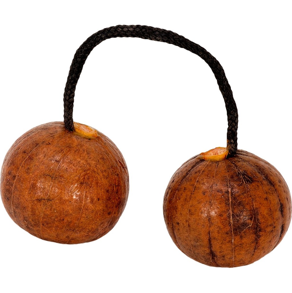 Terre Thelevi Standard