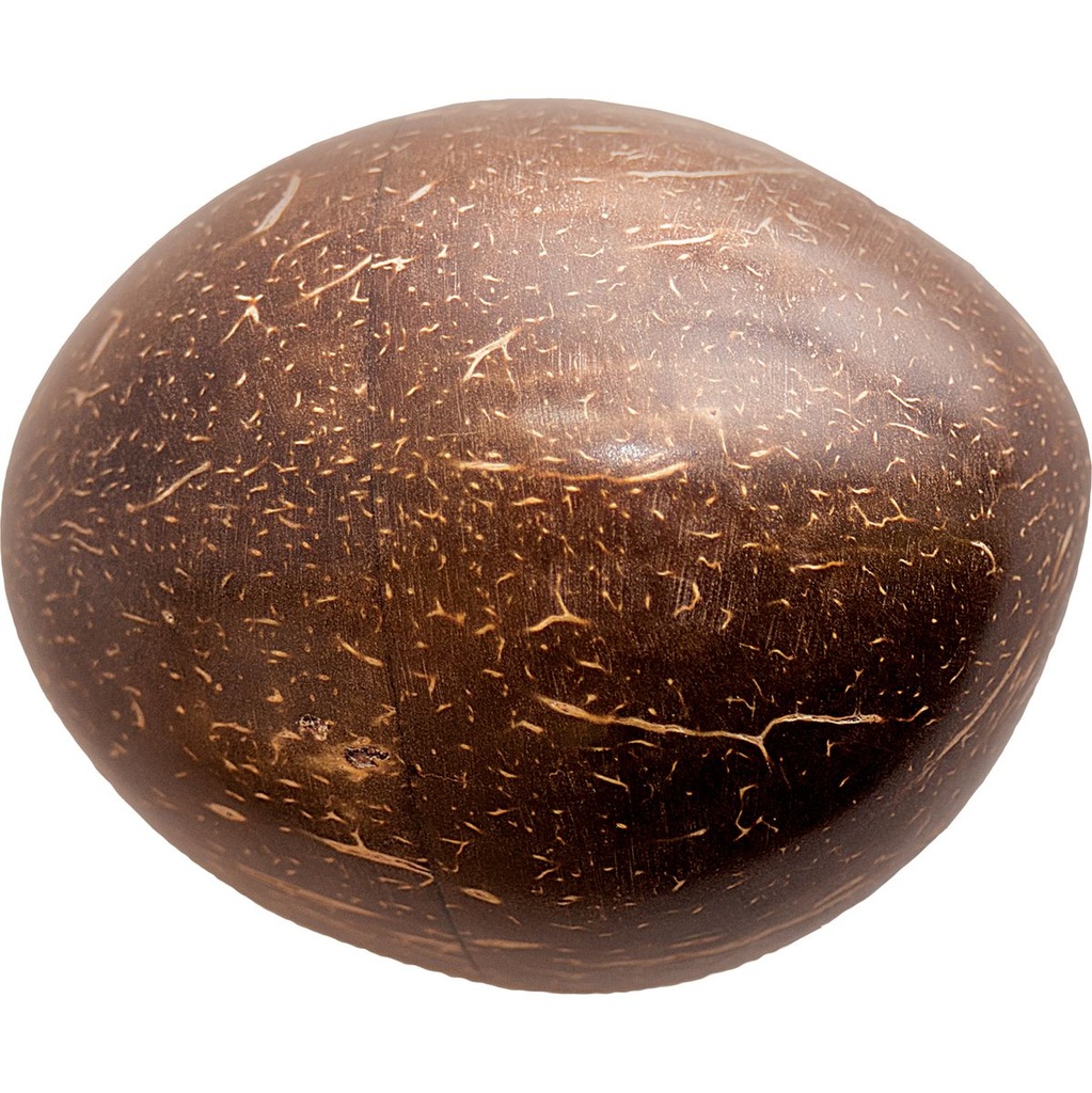 Terre Egg Shaker Coconut