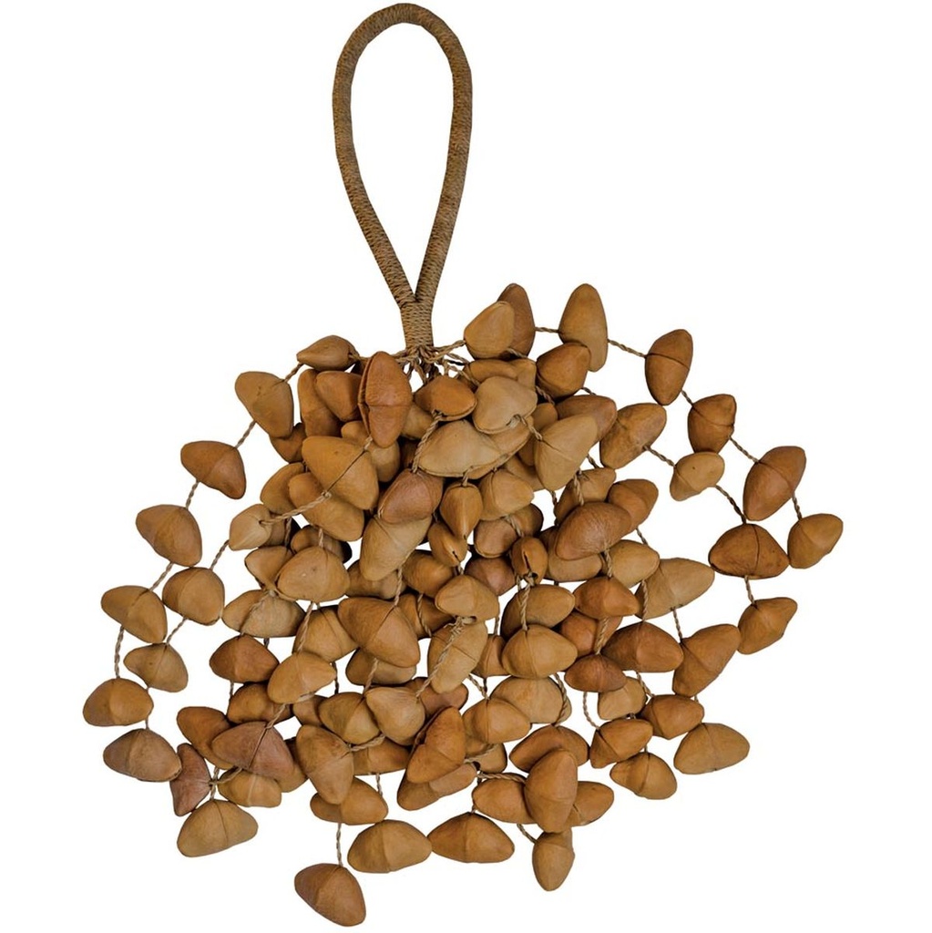 Terre Seedshaker XXL Chacha