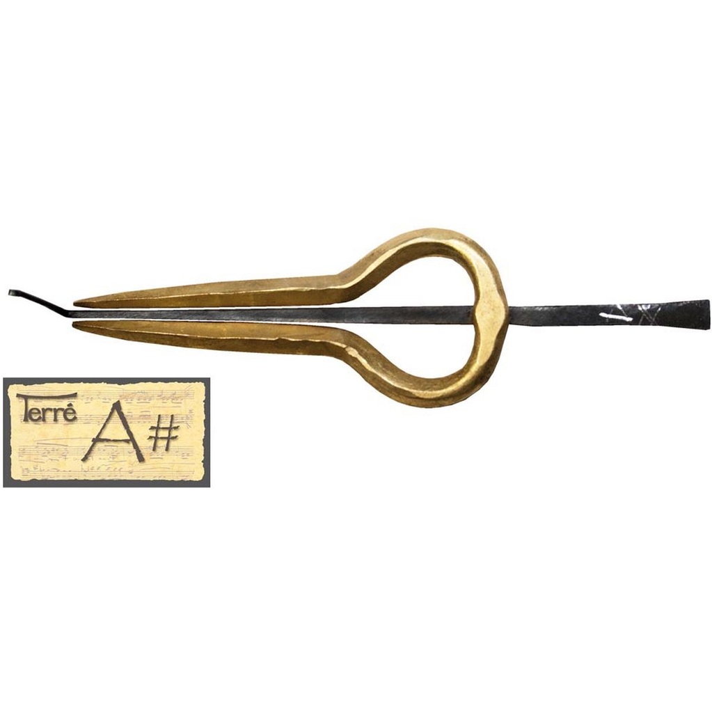 Terre Jew's Harp Nepal Pro Ais2