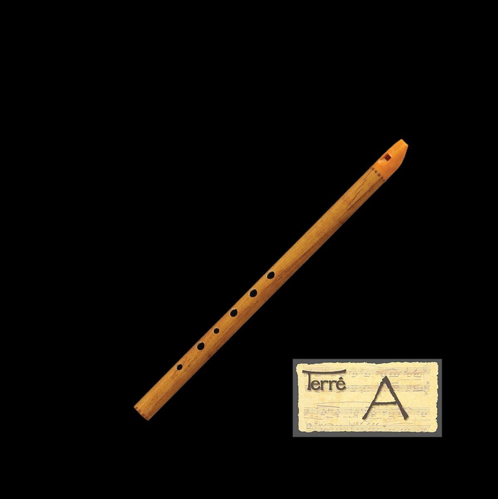 Terre Irish Whistle Tone A