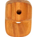 Terre Nose Flute Children